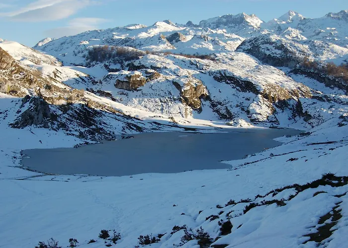 厄尔瑞皮拉酒店 酒店 科瓦东加