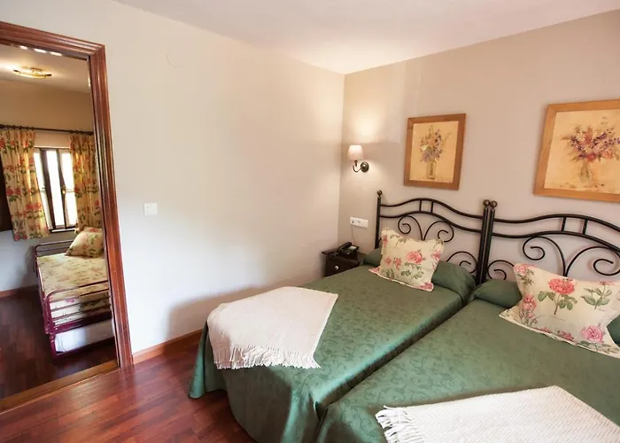 厄尔瑞皮拉酒店 2* 科瓦东加